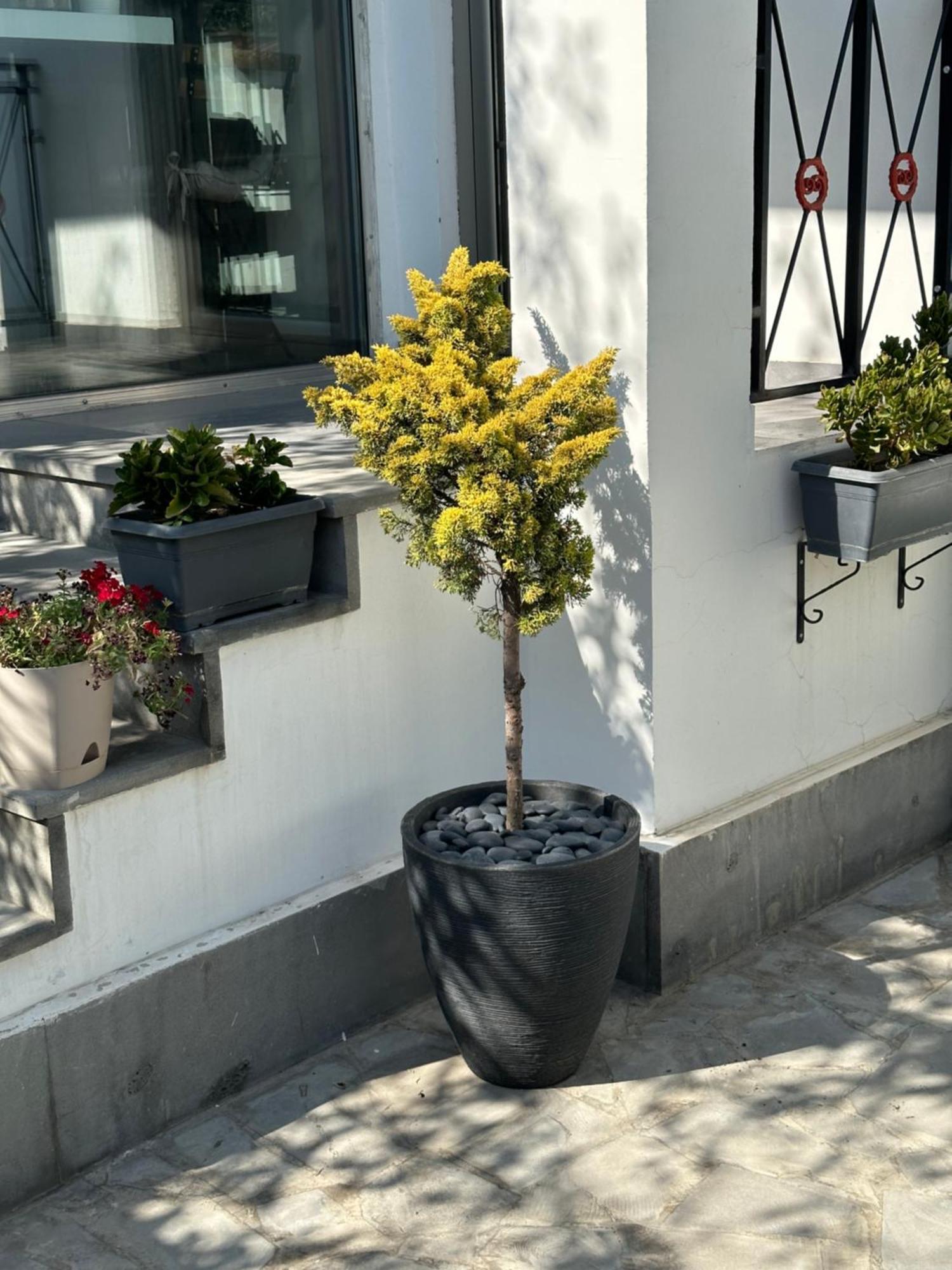 Garden Lounge Hotel Yerevan Exterior foto